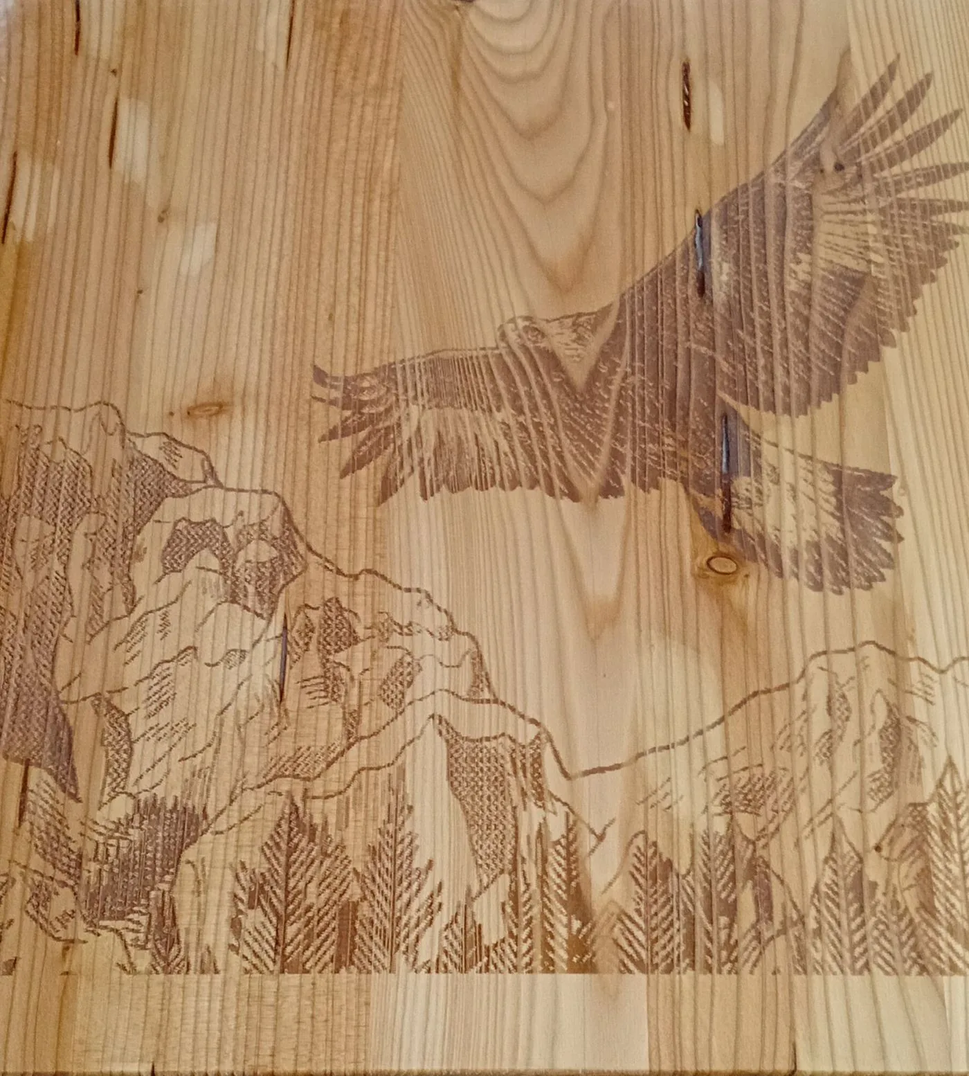 Incisione su legno: aquila in volo con le ali spiegate sopra una cresta di montagna e un bosco di abeti